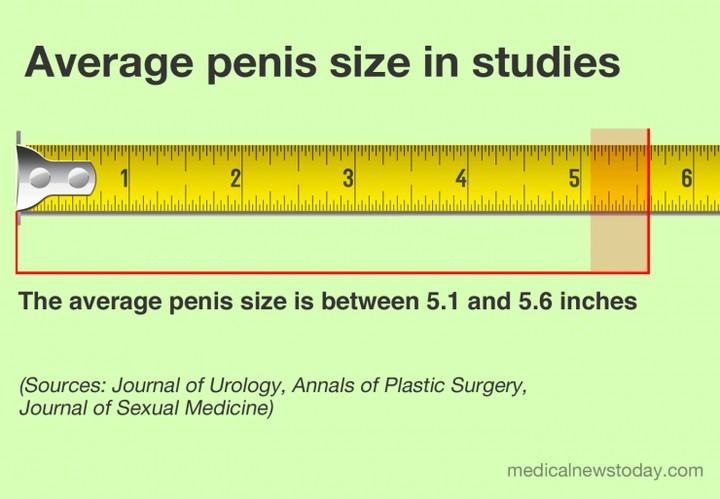 11406812_averagepenissizeinstudies_jpegbc685357fee4fdf9648706e605c626b0