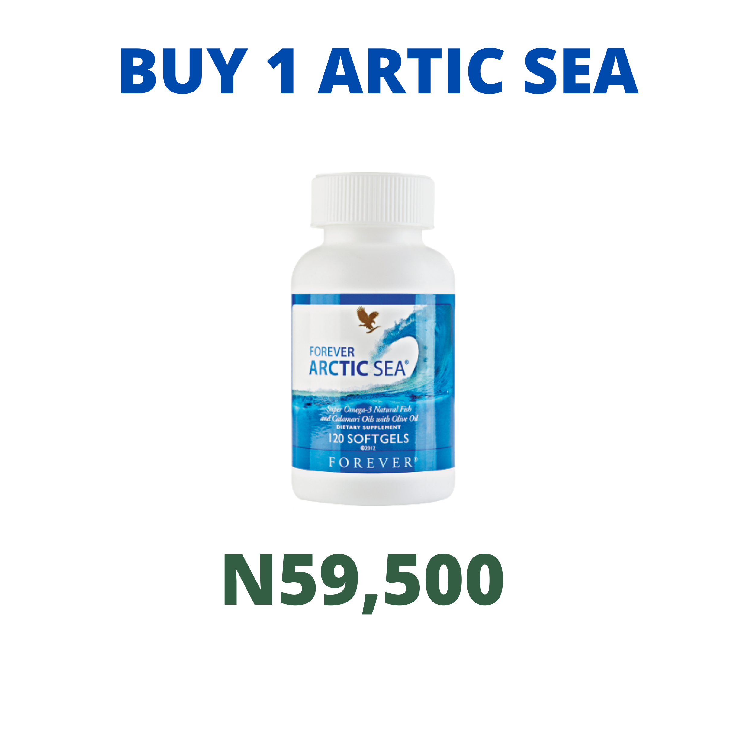 1ARTIC SEA