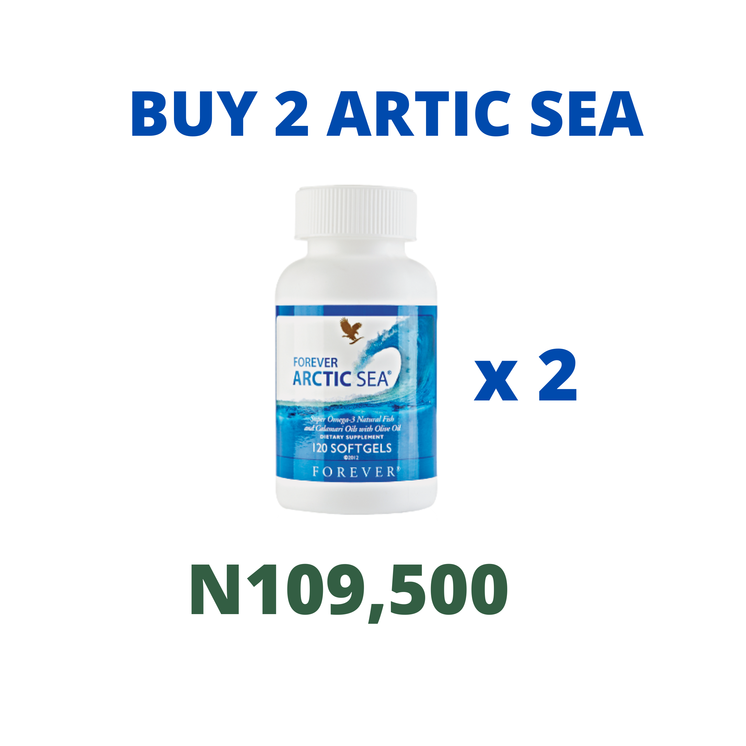2ARTIC SEA